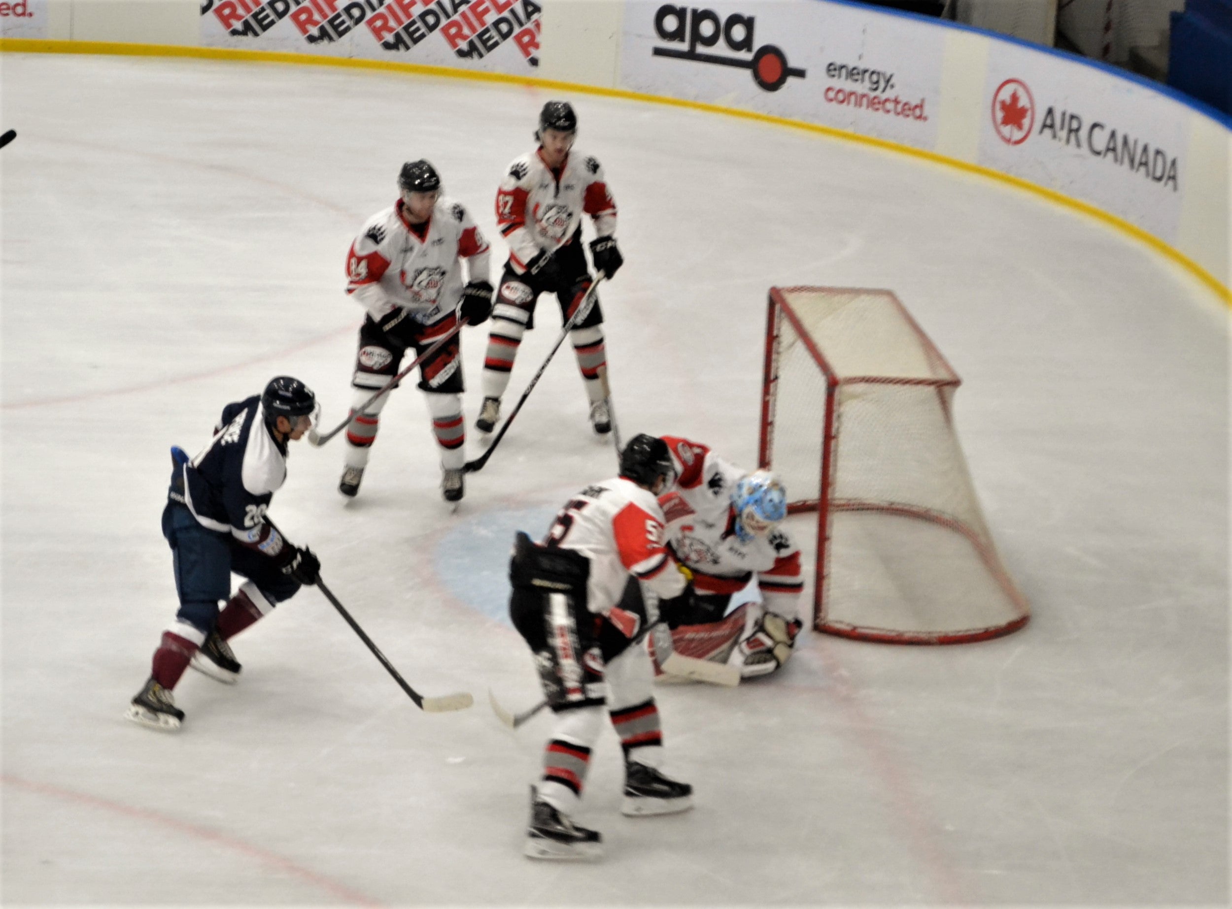 Five Takeaways: Sydney Bears vs Sydney Ice Dogs