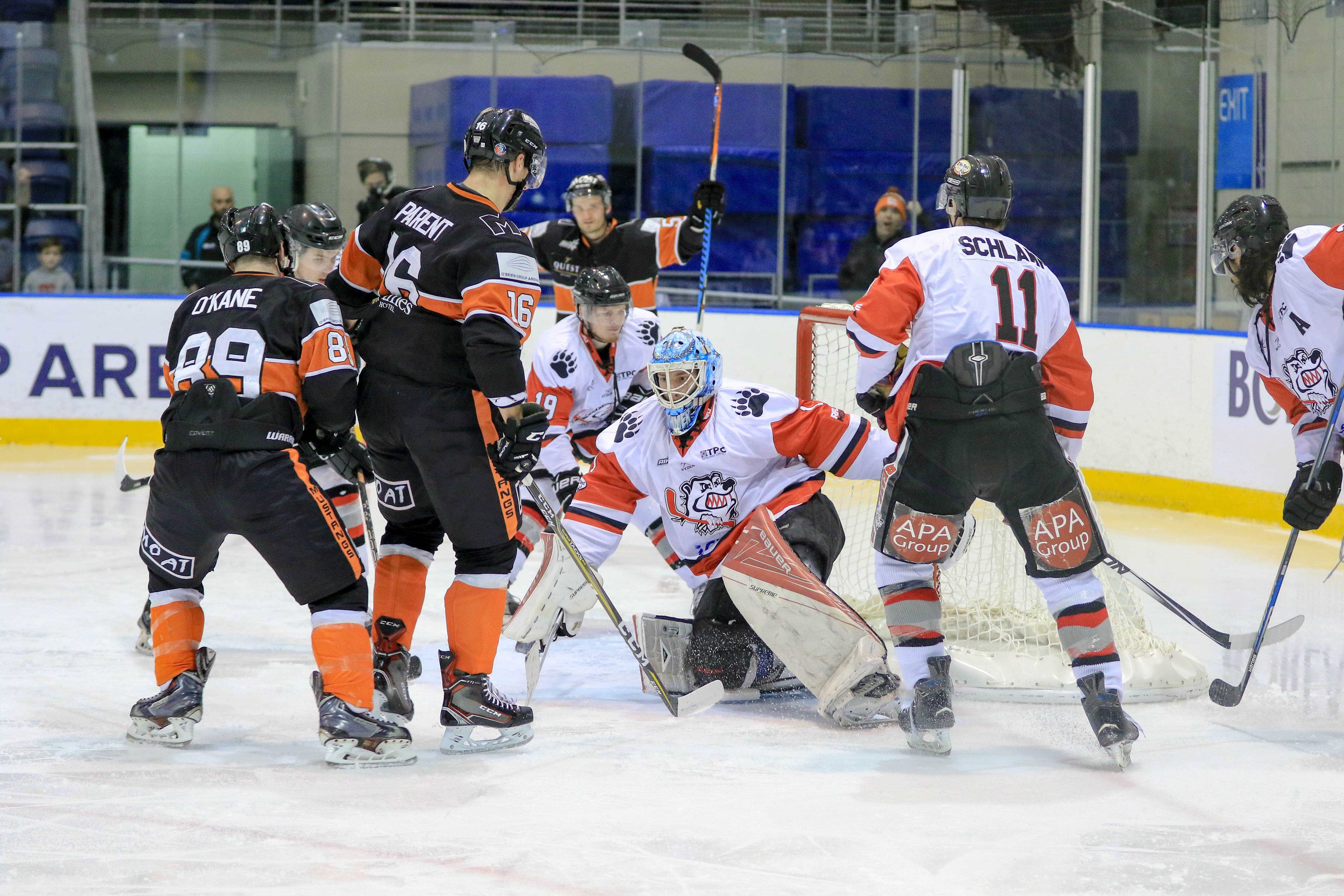 Game Preview: Sydney Bears vs Melbourne Mustangs